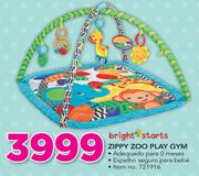 Bright Starts Zippy Zoo Play Gym