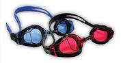 Victory Senior Goggles