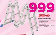Gravity Wonder Ladder