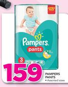 Pampers Pants Assorted Sizes