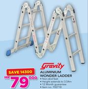 Gravity Aluminium Wonder Ladder