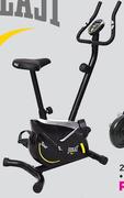 Everlast Tour Exercise Bike