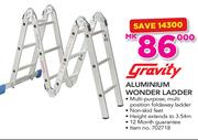 Gravity Wonder Ladder