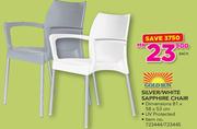 Goldsun Silver/White Sapphire Chair 81x58x53cm-Each