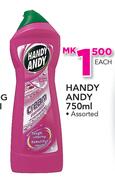 Handy Andy Assorted-750ml