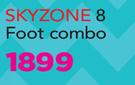 Bounce King Skyzone 8 Foot Combo Trampoline
