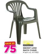 Antracite Ebony Low Back Chair