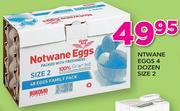 Ntwane Eggs 4 Dozen Size 2