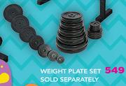Everlast Weight Plate Set