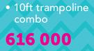 Bounceking 10Ft Skyzone Trampoline Combo