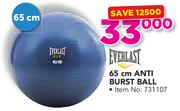 Everlast 65Cm Anti Burst Ball