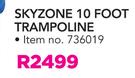 Bounce King Skyzone 10 Foot Trampoline
