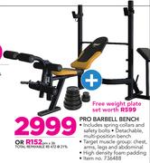 Everlast Pro Barbell Bench
