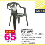 Antracite Ebony Low Back Chair
