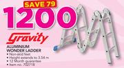 Gravity Aluminium Wonder Ladder