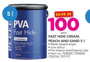 Homestead Fast Hide Cream, Peach And Sand 5L-Each