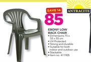 Antracite Ebony Low Back Chair 75X55X55cm