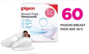 Pigeon Breast Pads Box-36 Pack