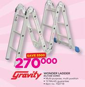 Gravity Wonder Ladder (KL7338 CONV)