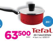 Tefal 20Ltr Saucepan