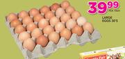 Large Eggs-30's Per Tray