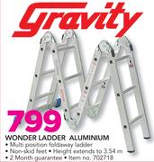 Gravity Wonder Ladder Aluminium