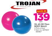 Trojan 55, 65 Or 75cm Body Balls-Each