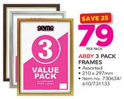 Abby 3 Pack Frames Assorted 210x297cm-Per Pack