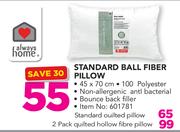 1Always Home 2 Pack Quilted Hollow Fibre Pillow
