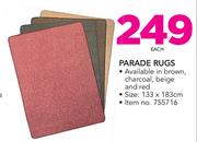 Parade Rugs-Each