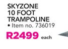 Bounceking Skyzone 10 Foot Trampoline