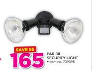 Par 38 Security Light