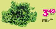 FM Lettuce Budget-Each