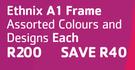 Ethnix A1 Frame-Each