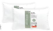Always Home Standard Ball Fibre Pillow-Each