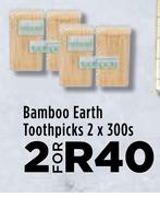Bamboo Earth Toothpicks-2 x 300s