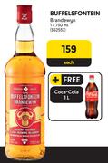 Buffels Fontein Brandewyn-750ml Each
