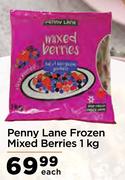 Penny Lane Frozen Mixed Berries-1kg Each