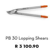 STIHL PB 30 Lopping Shears