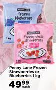 Penny Lane Frozen Strawberries Or Blueberries-1Kg Each