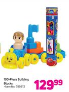 100 Piece Building Blocks
