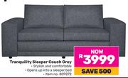Tranquility Sleeper Couch (Grey)