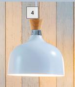 Bright Star Metal Dome Pendant Light