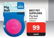 Best Pet Suppliers Pig Ball Assorted Colours-Each