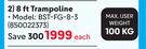 Bounceking 8Ft Trampoline BST-FG-8-3-Each