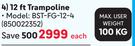 Bounceking 12Ft Trampoline BST-FG-12-4-Each