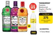 Tanqueray Premium, Black Currant Royale Or Flor De Sevilla Gin-750ml