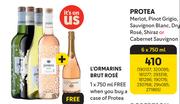 Protea Merlot, Pinot Grigio, Sauvignon Blanc, Dry Rose, Shiraz Or Cabernet Sauvignon-6 x 750ml