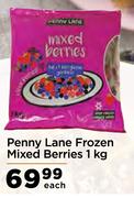 Penny Lane Frozen Mixed Berries-1Kg Each