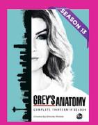 Grey's Anatomy Season 13-For 5